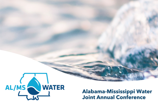 More Info for Alabama – Mississippi Water